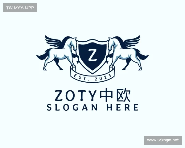 发现zoty中欧